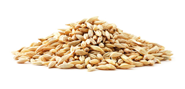 Dusthopper for cereals